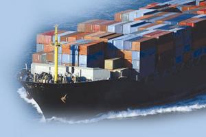 China Sea/Ocean freight from Xiamen to Kelang W/N on sale 